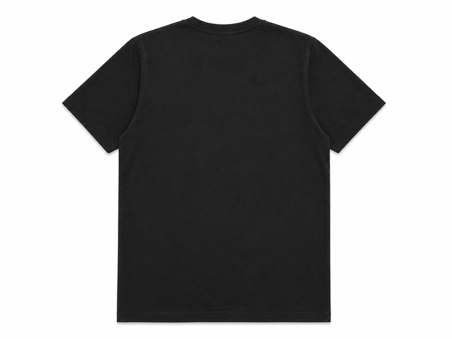 T-shirt FLEMME UNISEXE